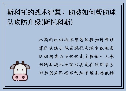 斯科托的战术智慧：助教如何帮助球队攻防升级(斯托科斯)