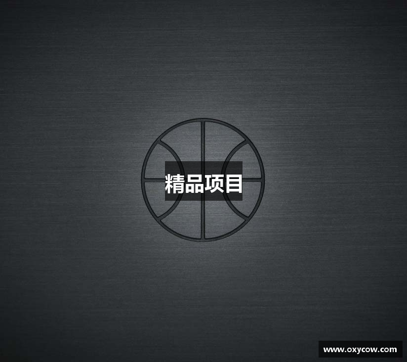 精品项目